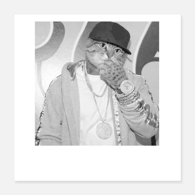 Katzenrapper Streetstyle Poster 40x40 cm