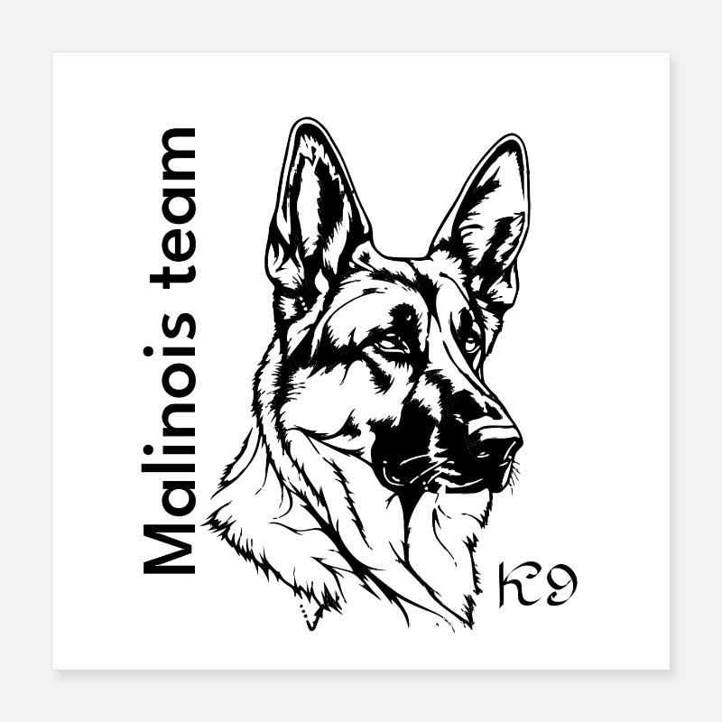 Malinois Team Poster 40 x 40 cm