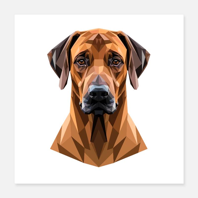 Chiens de chasse Rhodesian Ridgeback Pride Ridgeback Poster 40 x 40 cm