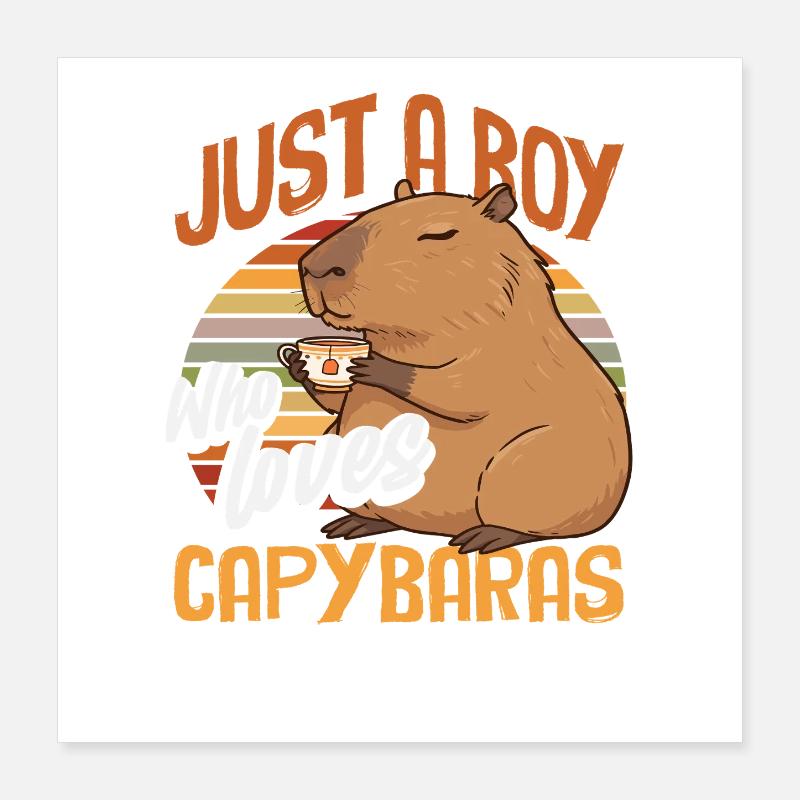 Just a Boy Who Loves Capybaras Cute Funny Poster 16" x 16" (40x40 cm)