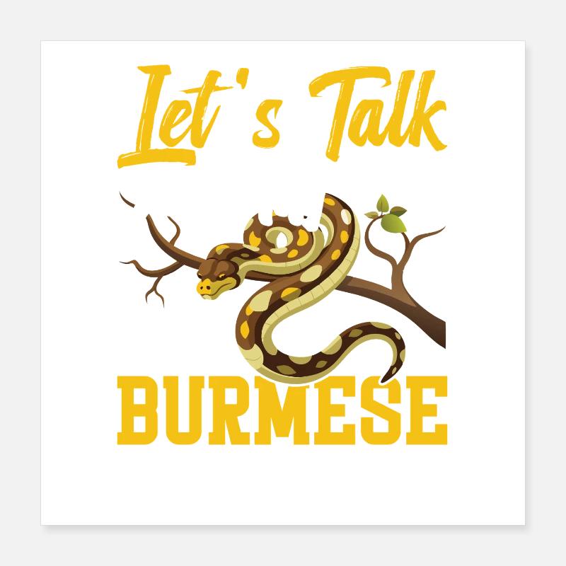 Burmesischer Python-Besitzer Schlangenterrarium Hide Python Poster 40x40 cm