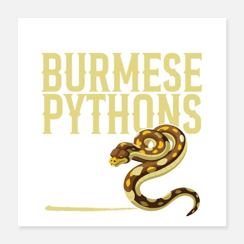 Burmesische Python HDE Schlangen-Stofftier-Reptil Poster 40x40 cm