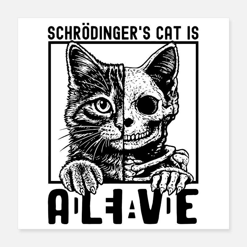Schrödinger's Cat Dead And Alive Poster 16" x 16" (40x40 cm)