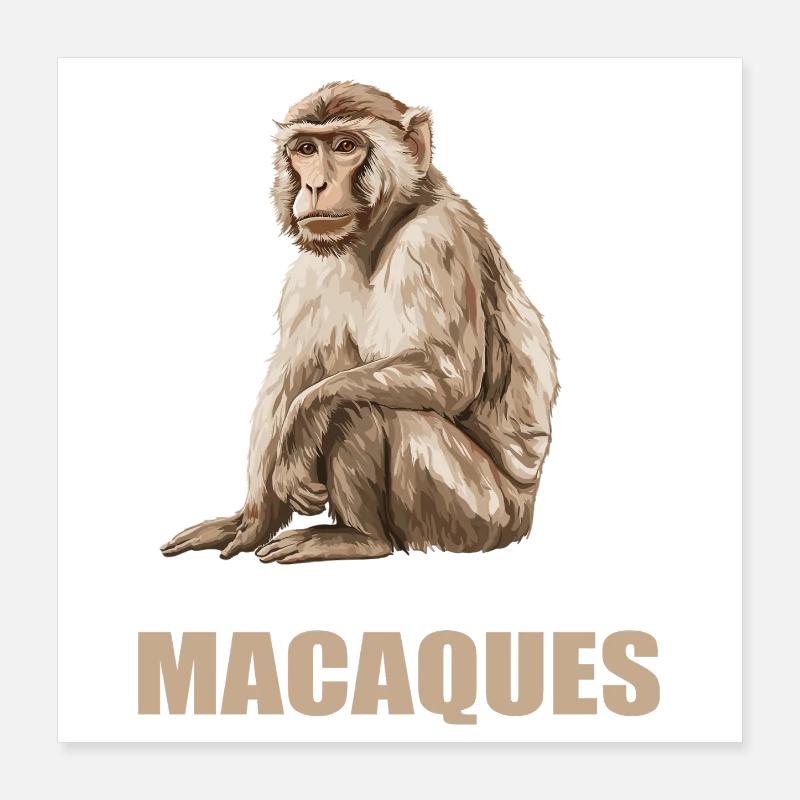 Macaque Macaque Poster 16" x 16" (40x40 cm)