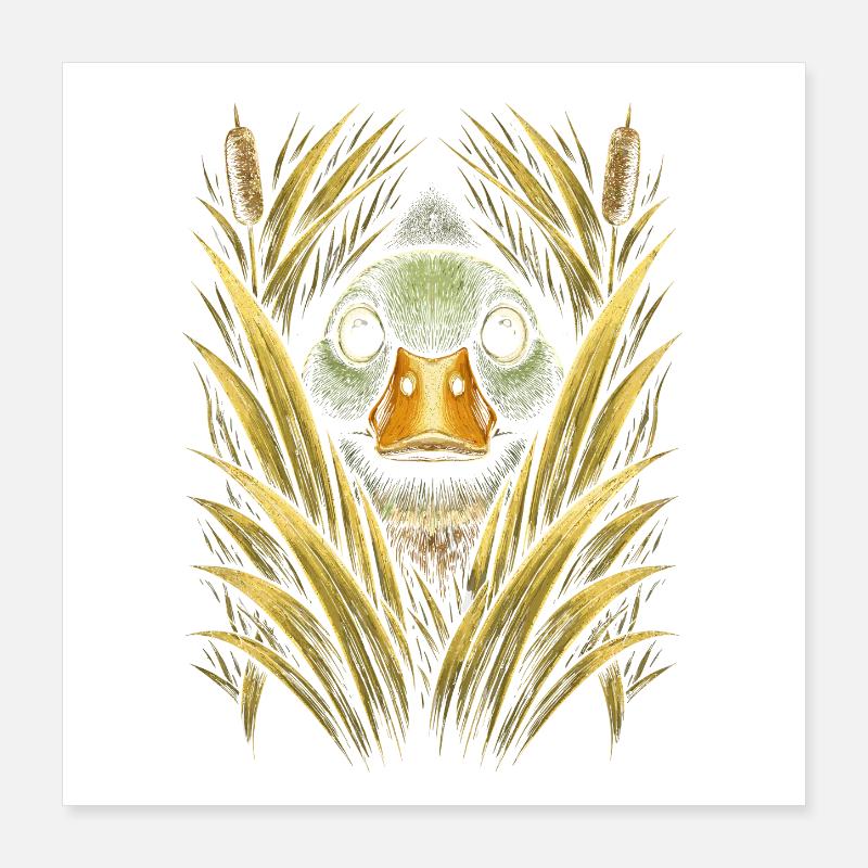duck shooting Poster 16" x 16" (40x40 cm)
