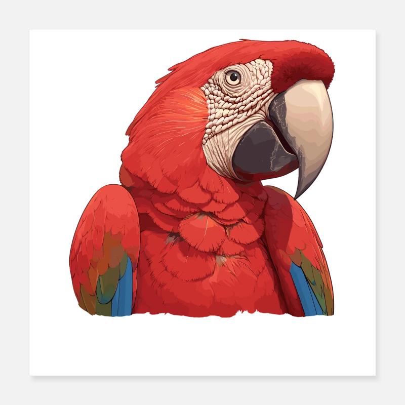 Macaw's Era Poster 16" x 16" (40x40 cm)