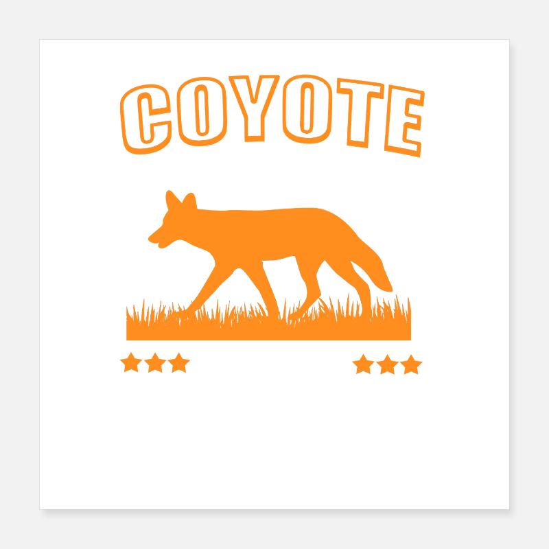 Coyote chasseur Poster 40 x 40 cm