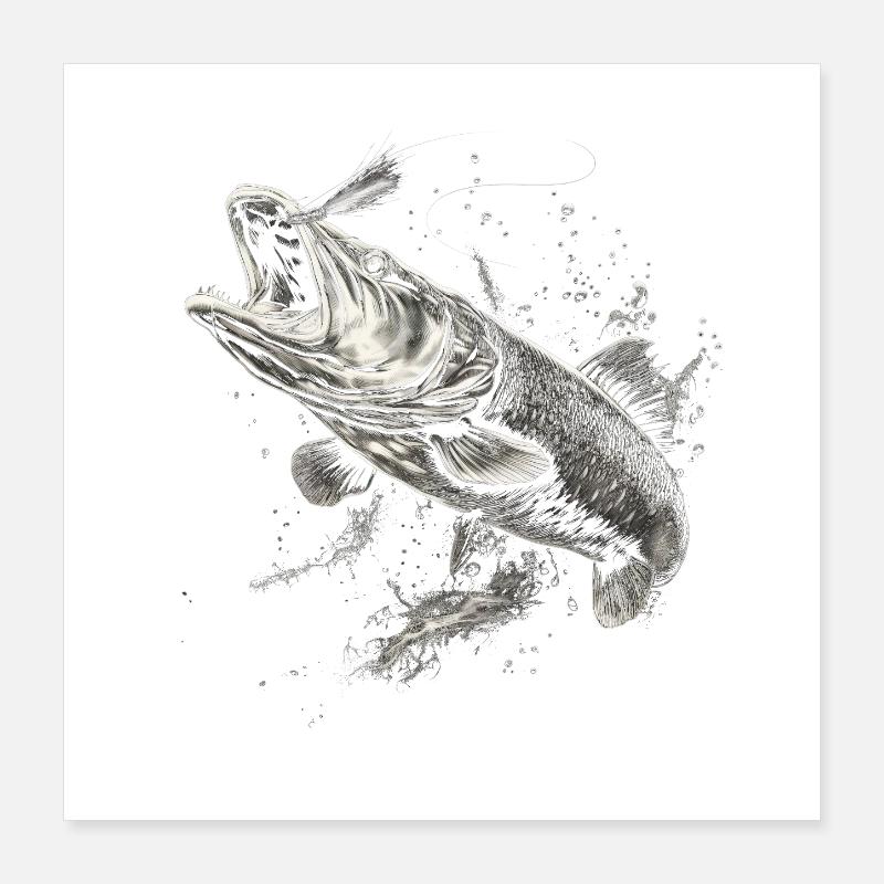 Brochet pêcheur Poster 40 x 40 cm
