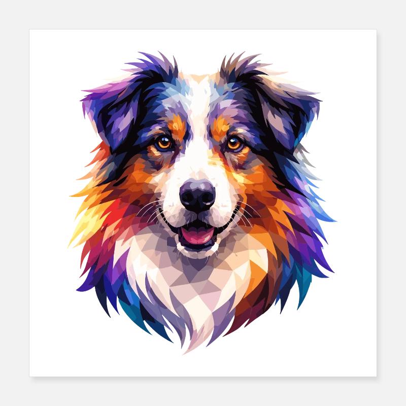 Colorful Aussie Polygon Art – Australian Shepherd  Poster 40x40 cm