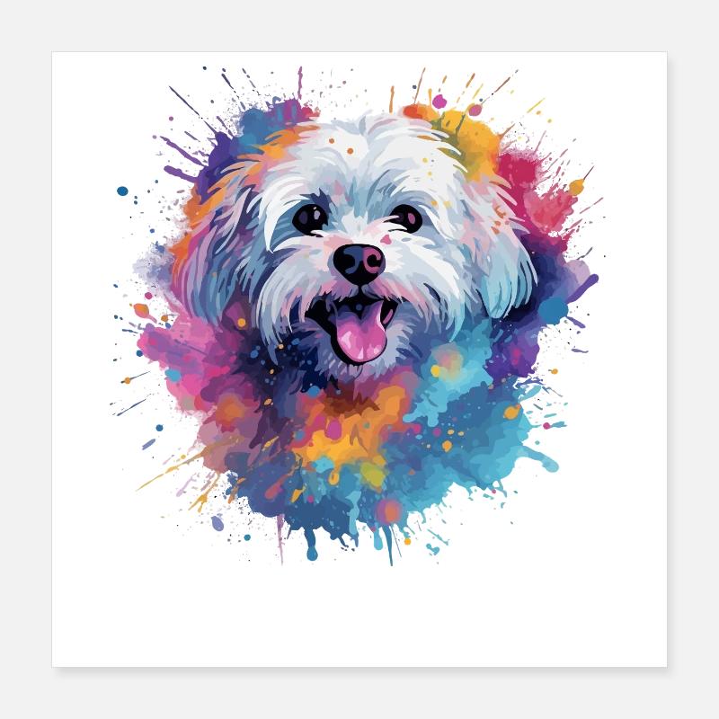 Chien maltis coloré en art éclaboussé Poster 40 x 40 cm