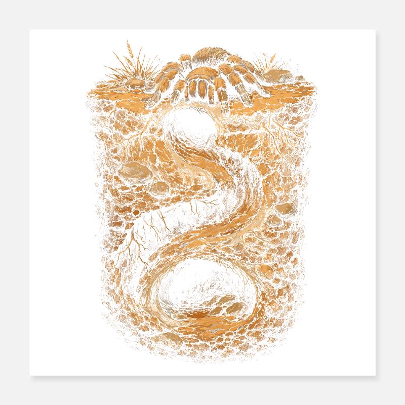 Tarantula Poster 16" x 16" (40x40 cm)