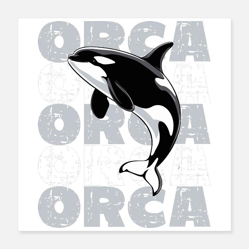 Orques Orques Océan Vie marine Orque Poster 40 x 40 cm