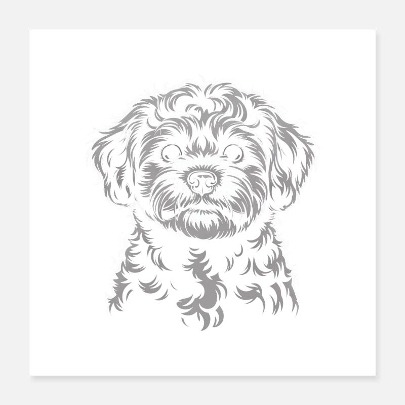 Maltipoo Poster 40 x 40 cm