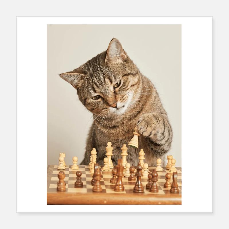 Cat playing chess Poster 16" x 16" (40x40 cm)