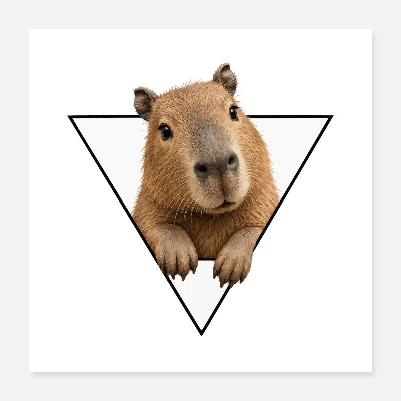 Kapybara dans le Triangle Poster 40 x 40 cm