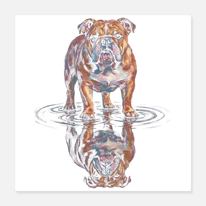 Bulldogge Wasserreflexion Poster 40x40 cm
