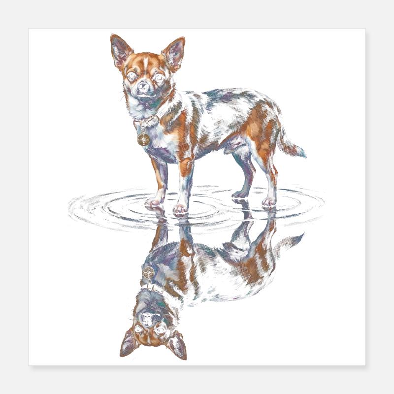 Chihuahua Water Reflection Poster 16" x 16" (40x40 cm)