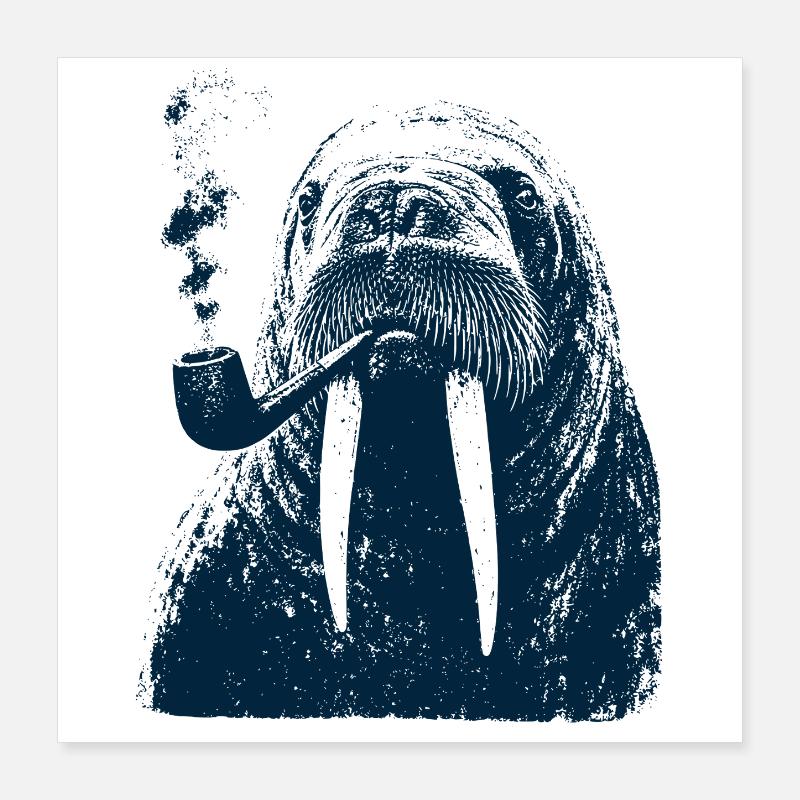 Capitaine morse Poster 40 x 40 cm