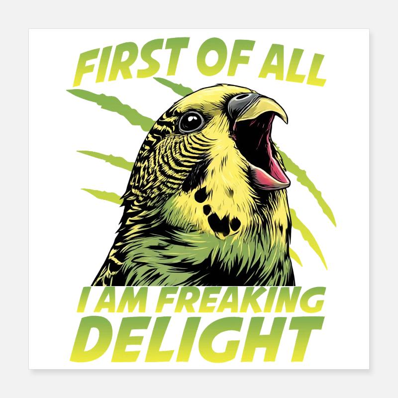 Perruche perruche australienne humour Poster 40 x 40 cm