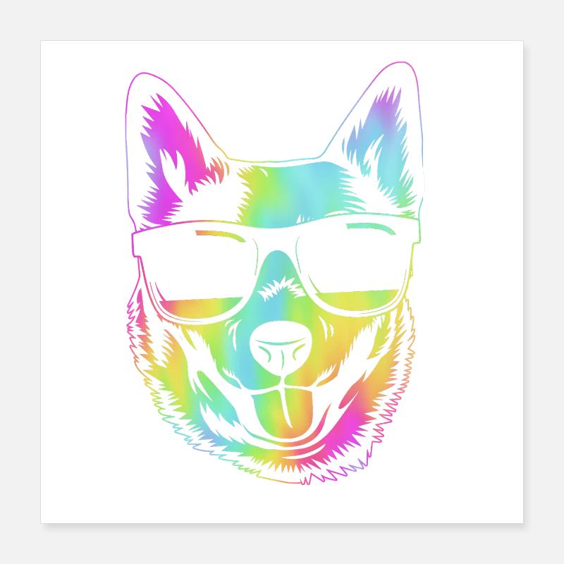 Bouvier australien chien Poster 40 x 40 cm