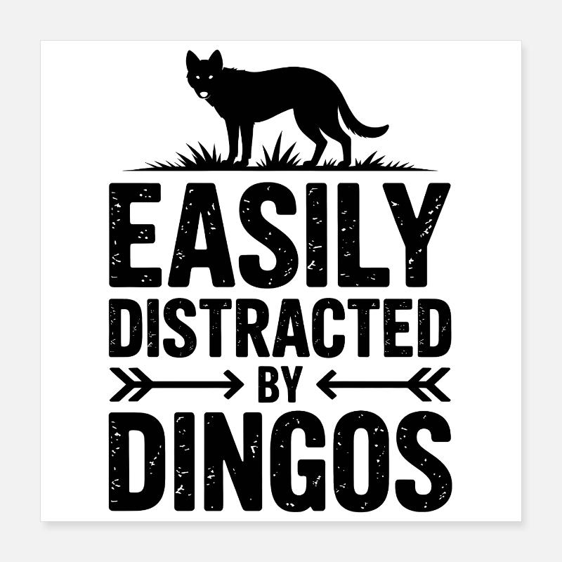 Dictons des dingos, don drôle de dingos Poster 40 x 40 cm
