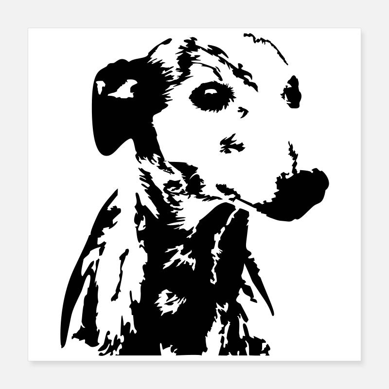 Tête de whippet Poster 40 x 40 cm