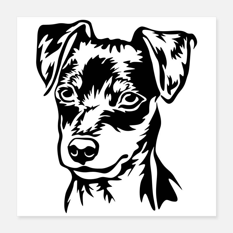 Tête de pinscher nain Poster 40 x 40 cm