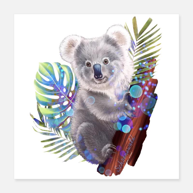 Koala Poster 40x40 cm