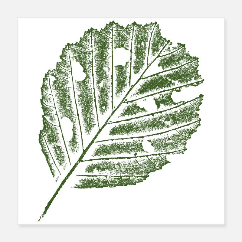 Empreinte feuille - Aulne Poster 40 x 40 cm