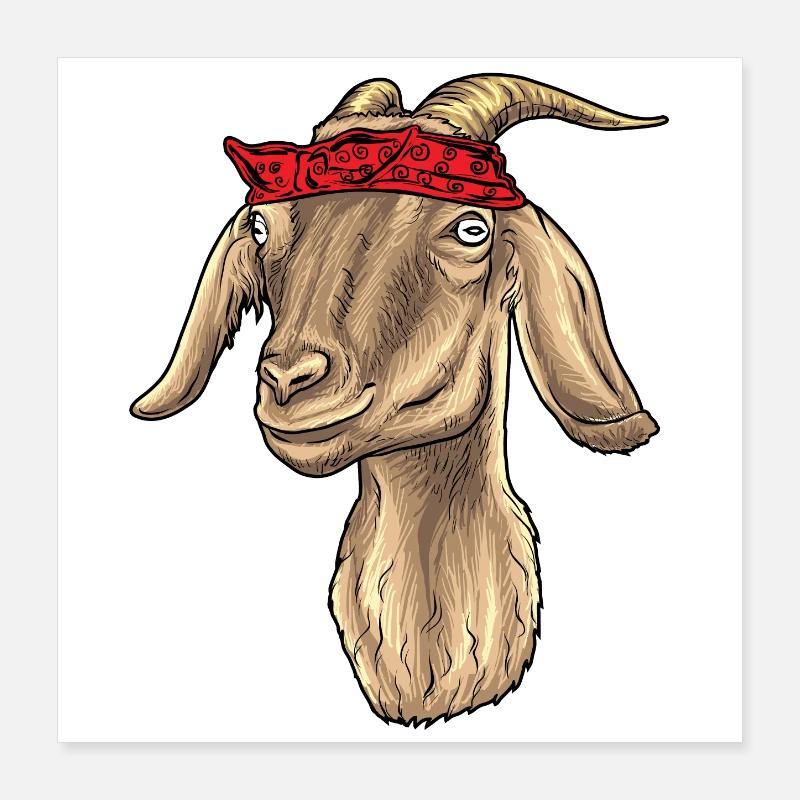 Chèvre avec Bandana Poster 40 x 40 cm