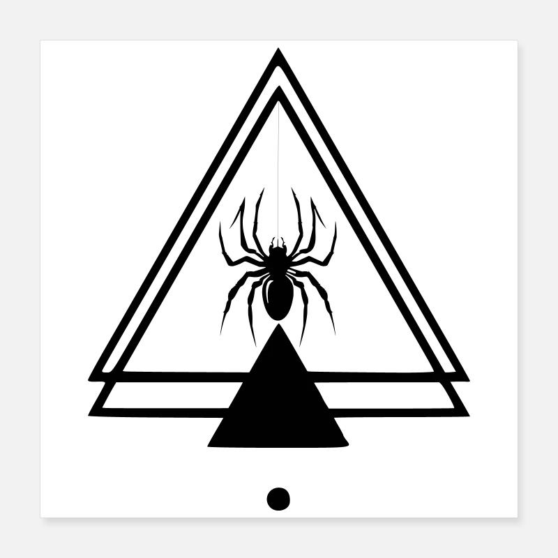 Spinne Poster 40x40 cm