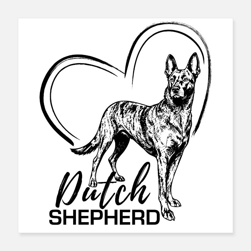 Dutchie - Chien de berger néerlandais Poster 40 x 40 cm