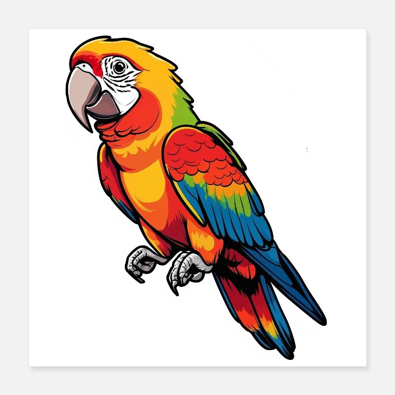 Magnifique jeu de couleurs du perroquet Poster 40 x 40 cm