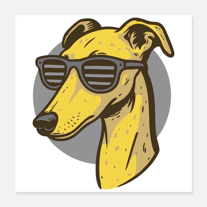 Windhund, Galgo Poster 40x40 cm