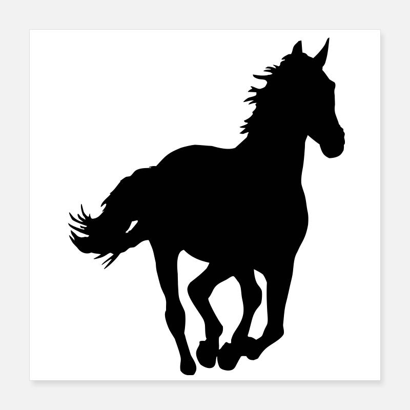 Ein Pferd. Poster 40x40 cm