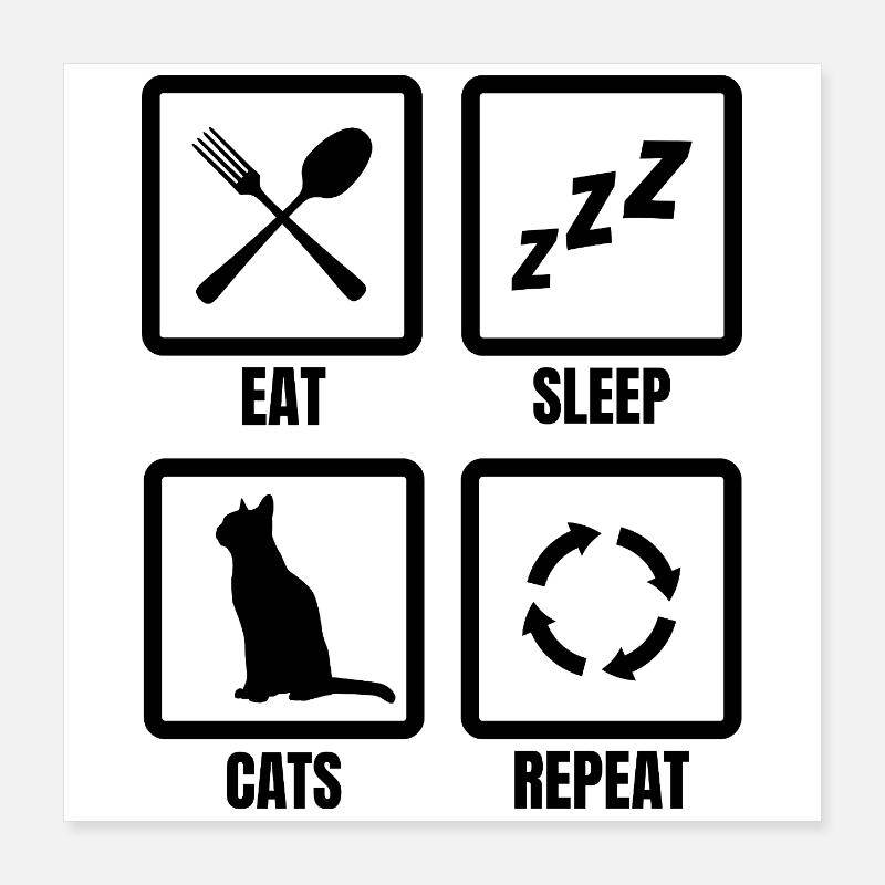 Cat Owner Schedule Poster 16" x 16" (40x40 cm)