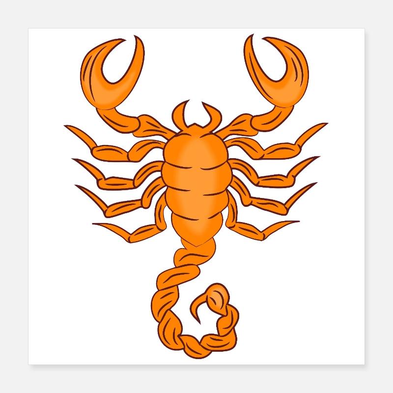 Signe du zodiaque Scorpion Poster 40 x 40 cm