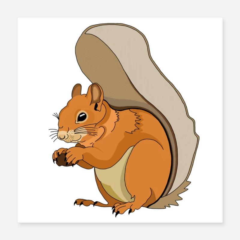 EIchhörnchen Poster 40x40 cm