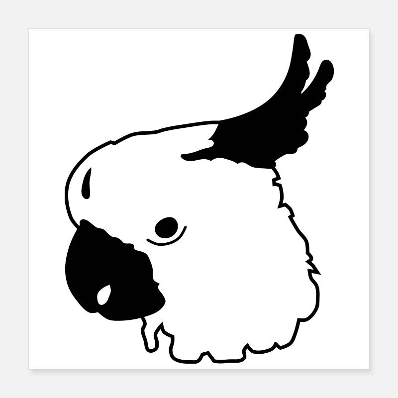 Papagei Poster 40x40 cm