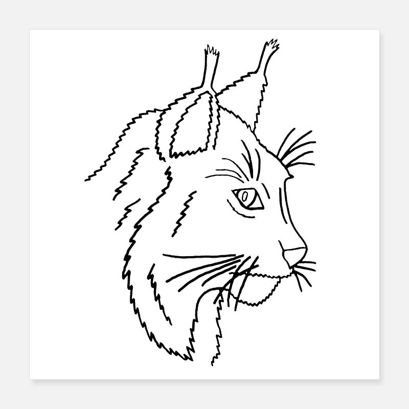 Lynx (schwarze Striche) Poster 40x40 cm