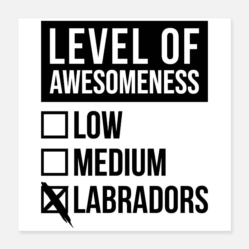 Labrador Poster 16" x 16" (40x40 cm)