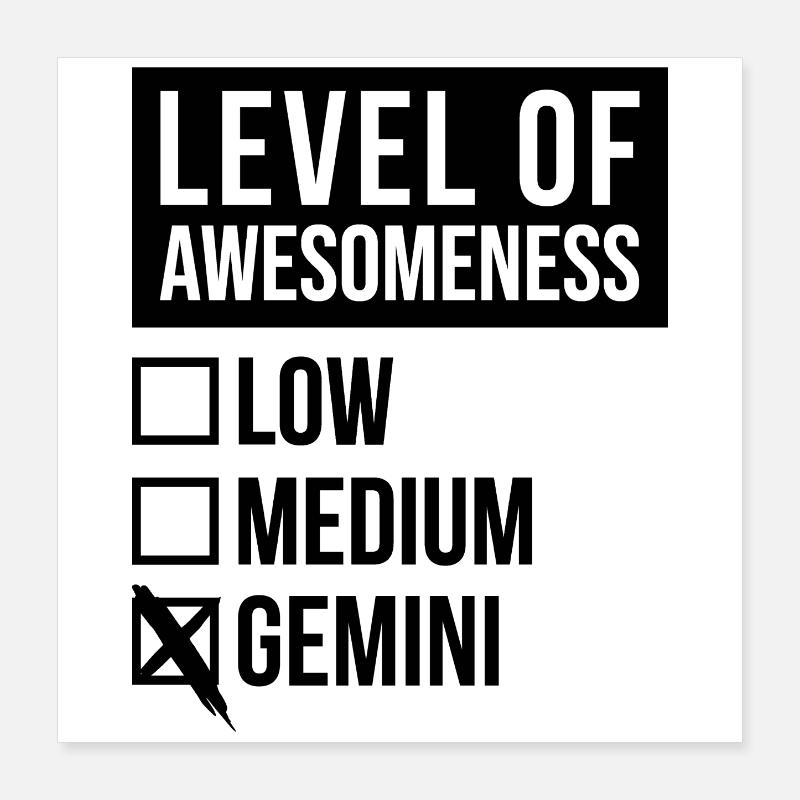 Gemini Poster 16" x 16" (40x40 cm)