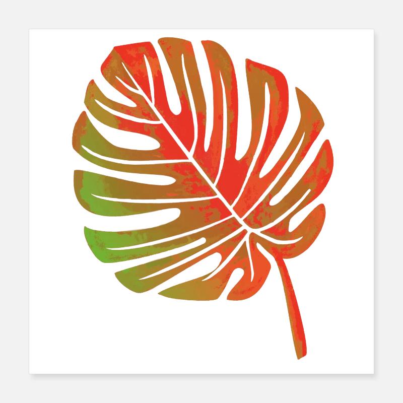 Feuille d’une plante Poster 40 x 40 cm
