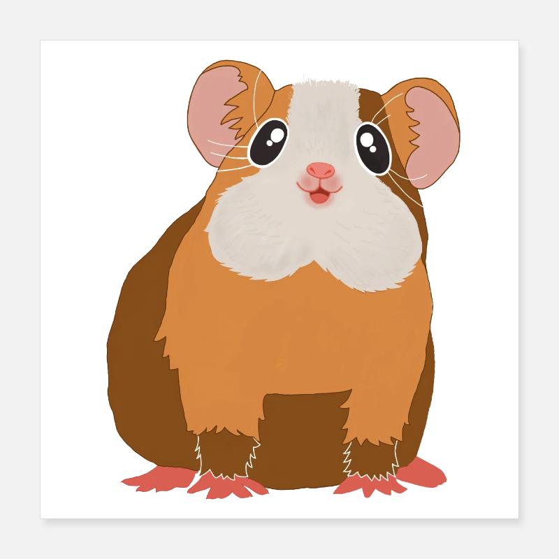 Meerschweinchen Poster 40x40 cm