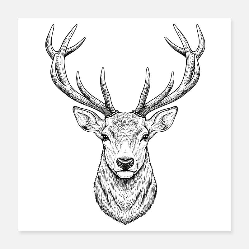 Hirsch Poster 40x40 cm