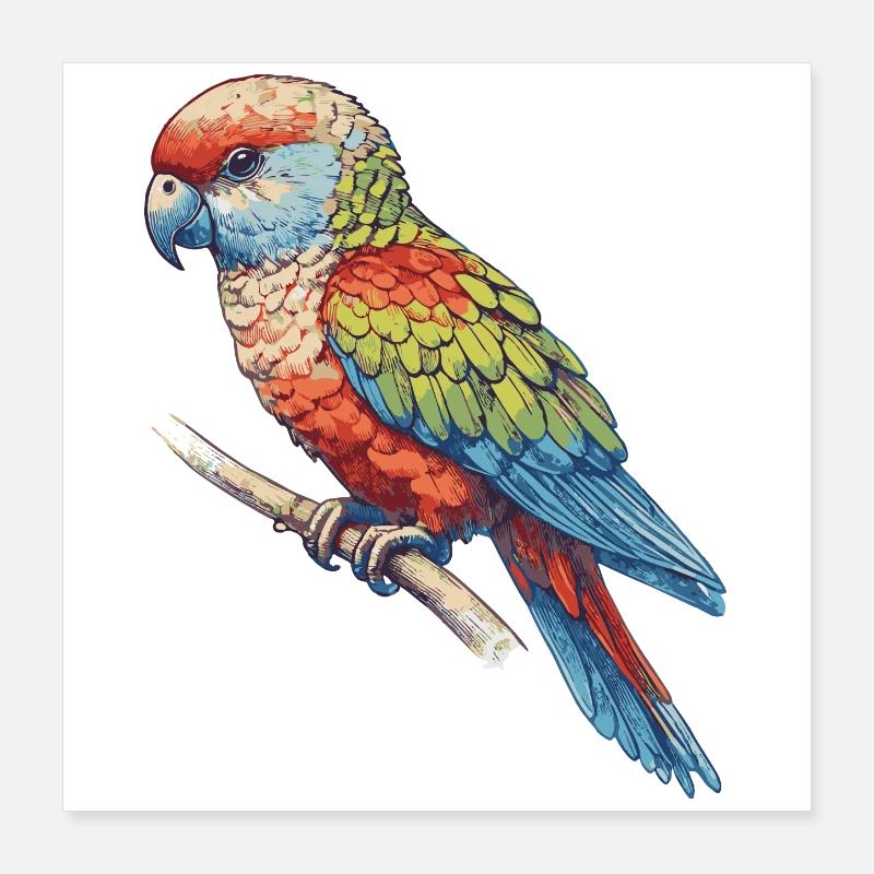 Perroquet Poster 40 x 40 cm