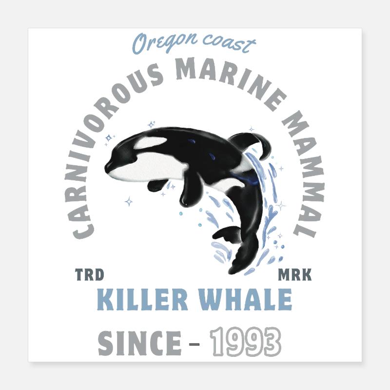 Orca Tier Meeressäuger - Schwertwal Poster 40x40 cm