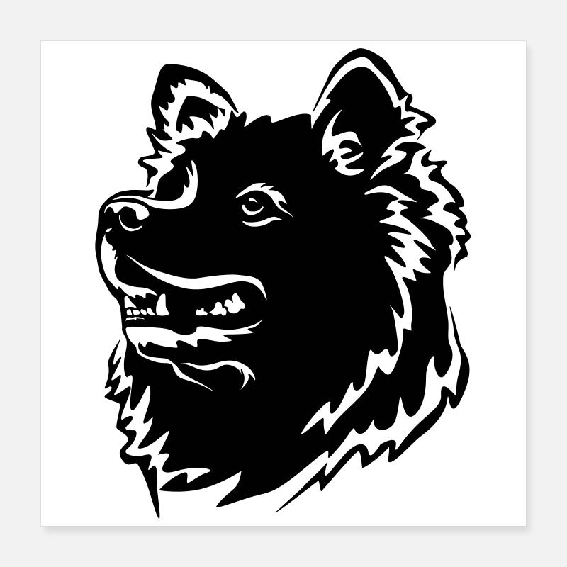 Samoyed Head Poster 16" x 16" (40x40 cm)
