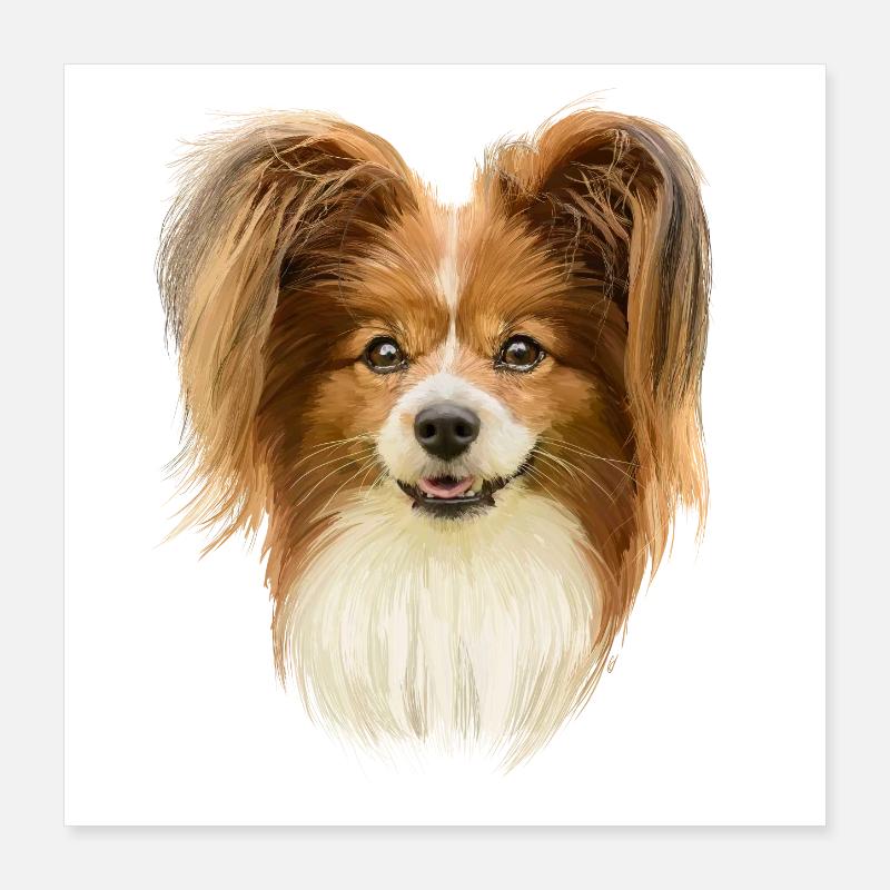 Papillon Poster 40 x 40 cm