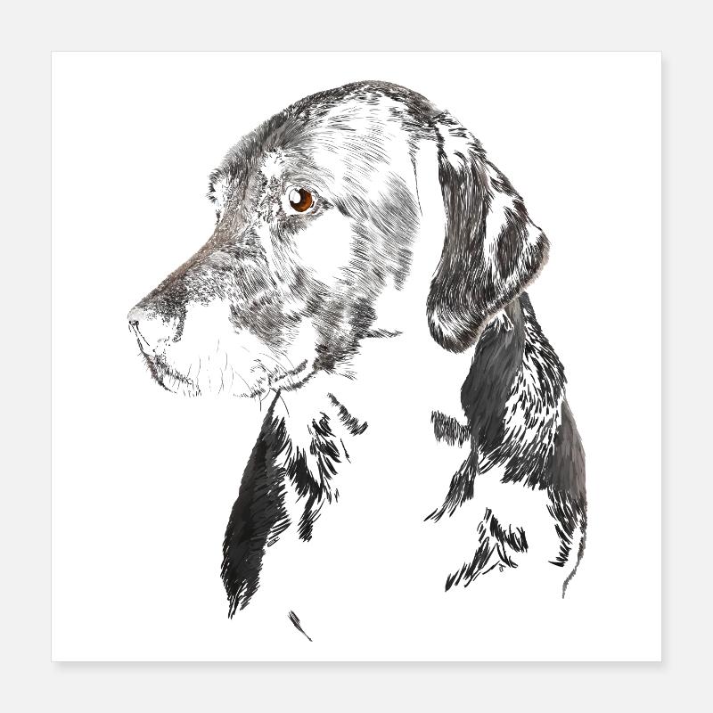 Labrador Poster 40x40 cm